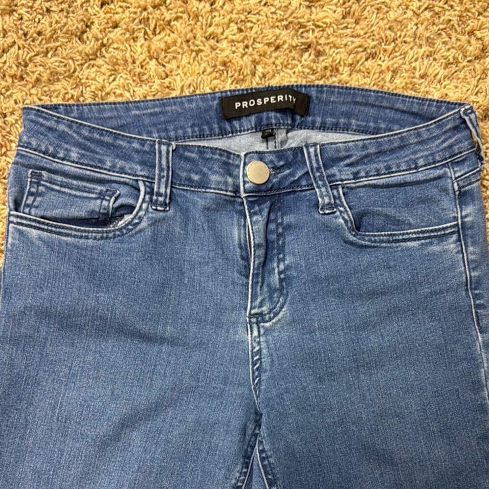 Stitch Fix Prosperity Mid Rise Skinny Jeans, size 29